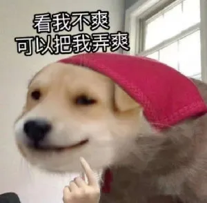 看我不爽可以把我弄爽