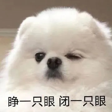 睁一只眼闭一只眼