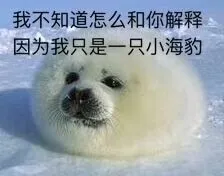 我不知道怎么和你解释因为我只是一只小海豹