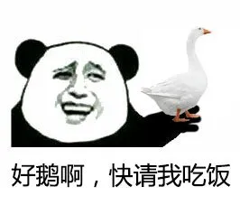 好鹅（饿）啊，快请我吃饭