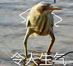 表情包」米老鼠摘下了它的帽子- 每日头条