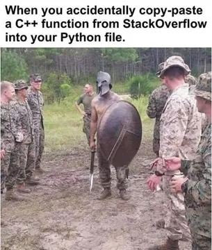 When You Accidentally Copy-Paste A C++ Function From StackOverflow Into Your Python File