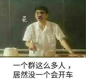 花个群这么多人.居然没一个会开车