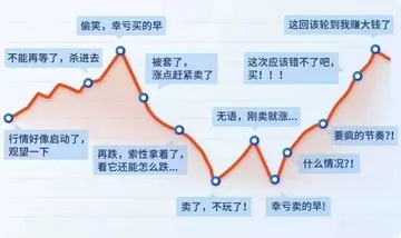 散户炒股票
