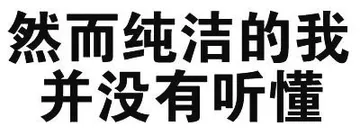 然而纯洁的我并没有听懂