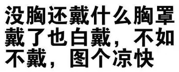 没胸还戴什么胸罩，戴了也白戴，不如不戴，图个凉快