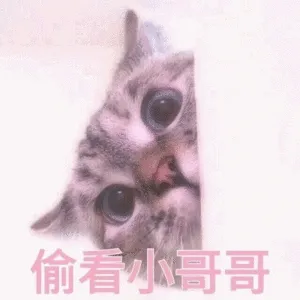 偷看小哥
