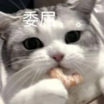 委屈 memes