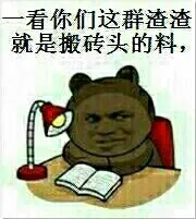 一看你们这群渣渣就是搬砖头的料