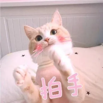 拍手食