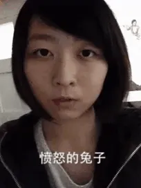 愤怒的兔子