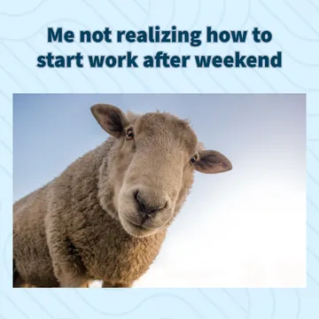After Weekend Vibe