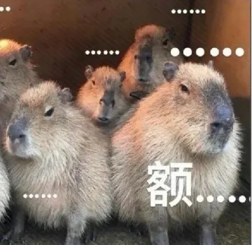 卡皮巴拉表情包,喜欢记得收藏