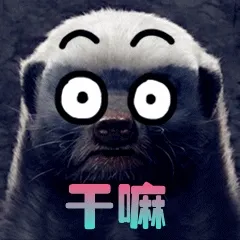 干嘛