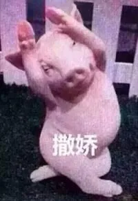 撒娇 memes