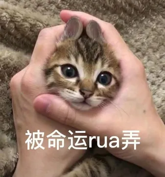 被命运玩弄