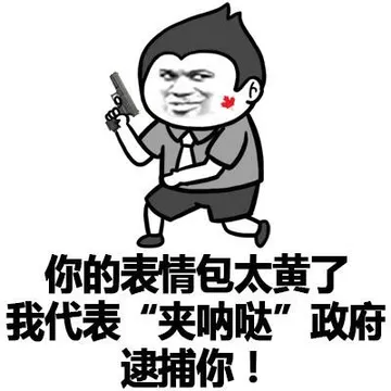 你的表情包太黄了，我代表『夹呐哒』政府逮捕你！