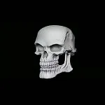 Bad to the bone skull meme GIF Template