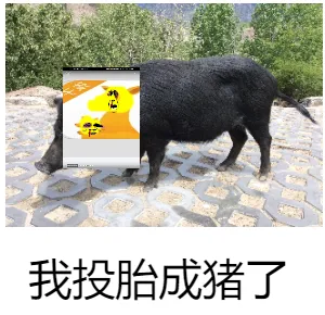 木马阳光守护！