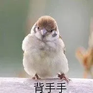 背手手