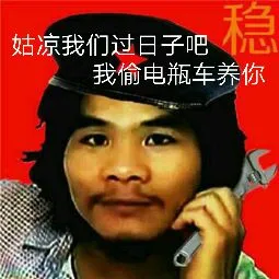 姑凉我们过日子吧.我偷电瓶车养你