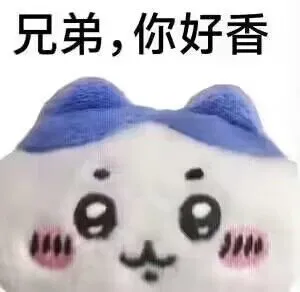 兄弟，你好香