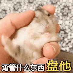 仓鼠00001-甭管什么东西-盘他