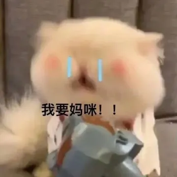 我要妈咪！