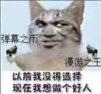 弹幕之雨