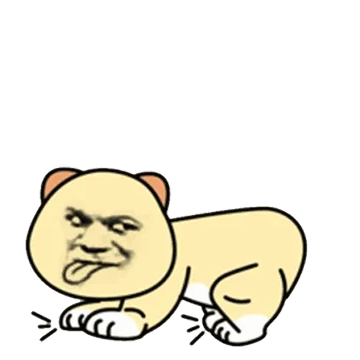 狗狗