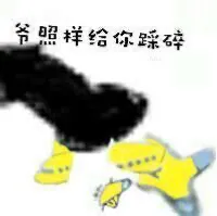 爷照给你踩碎