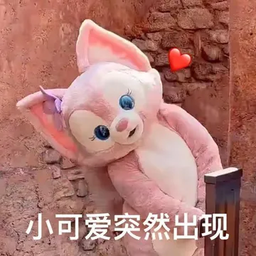小可爱突然出现