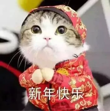 中国春节00007-新年快乐猫
