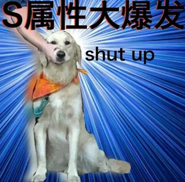 S属性大爆发shut up