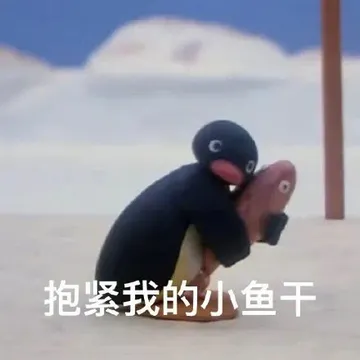 抱紧我的小鱼干