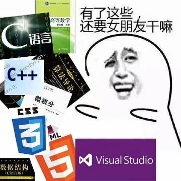 有了编程语言还要女朋友干嘛