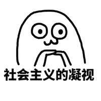 社会主义的凝视