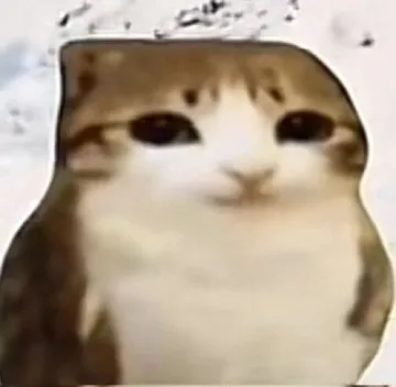 猫头鹰小猫表情包