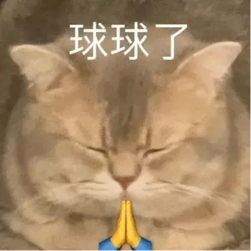 球球了
