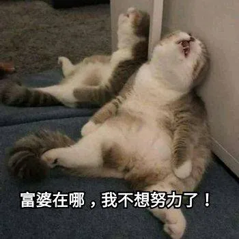 富婆在哪.我不想努力了!