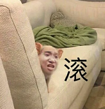 滚(猪)