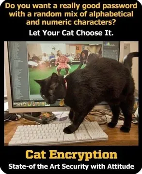 AES Encryption Move Over