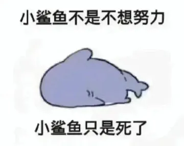 小鲨鱼不是不想努力小鲨鱼只是死了