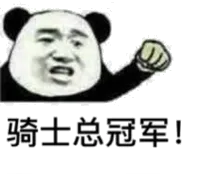 骑士总冠军!