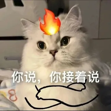你说，你接着说8(发火猫猫表情包)