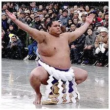 Hi fat dude