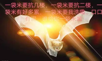 一袋米要抗几楼.一袋米要抗二楼.一袋米有好多累!
