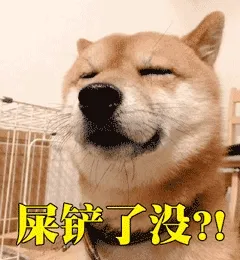 屎铲了没有？？