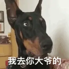我去你大爷的(汪星人)