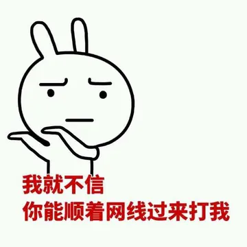 我就不信 你能顺着网线过来打我